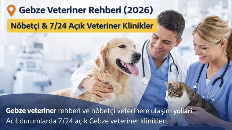 Gebze Veteriner Rehberi (2026) | Nöbetçi & 7/24 Açık Veteriner Klinikler