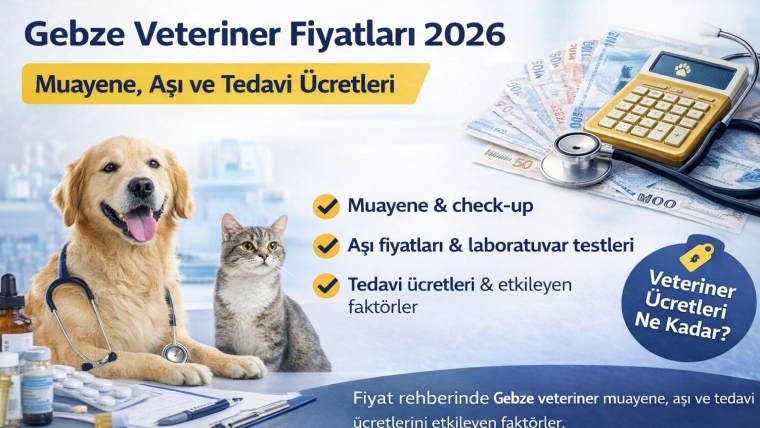 Gebze Veteriner Fiyatları 2026 | Muayene, Aşı ve Tedavi Ücretleri