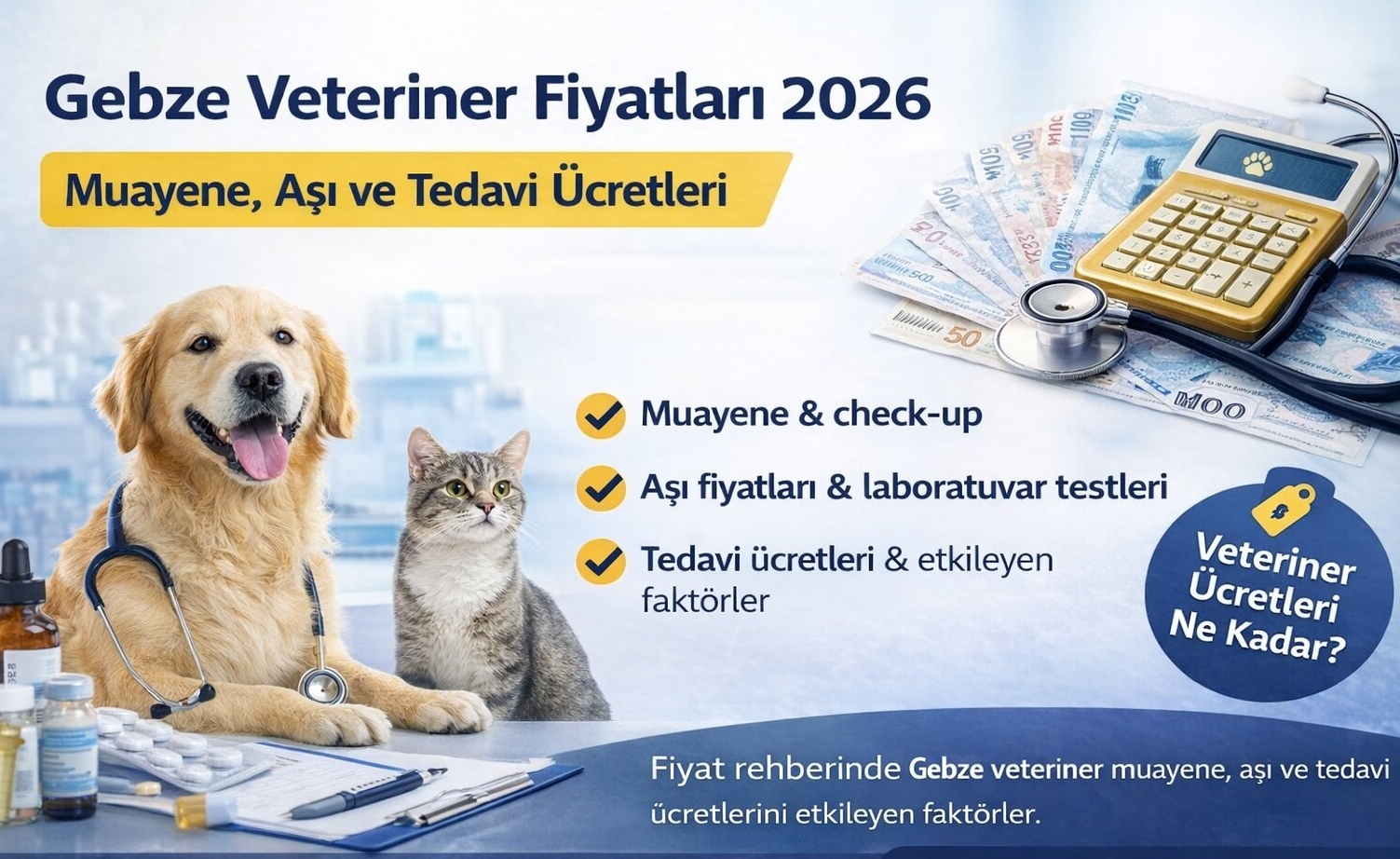 Gebze Veteriner Fiyatları 2026 | Muayene, Aşı ve Tedavi Ücretleri
